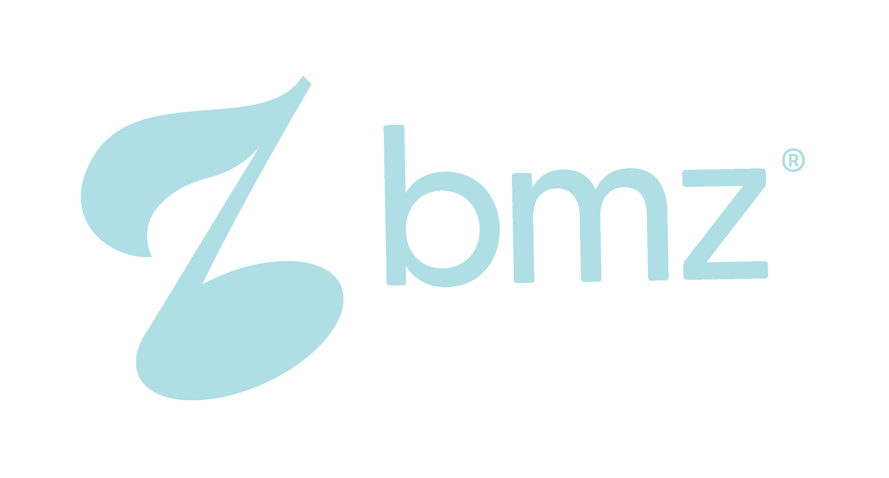 BMZ